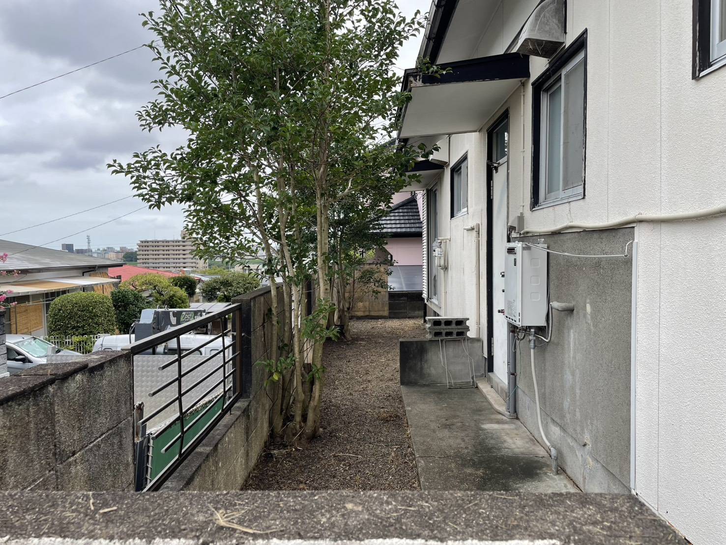 手入れした空き家の勝手口まわり