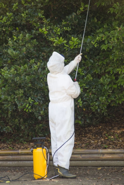 防除服を着て樹木に薬剤を散布する作業