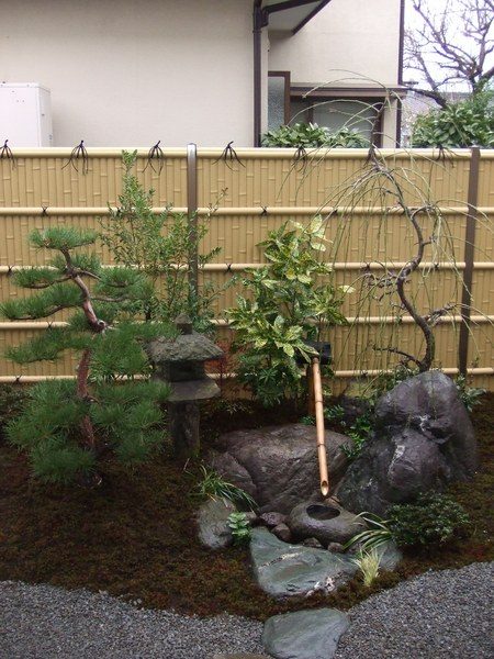 日本庭園の写真3