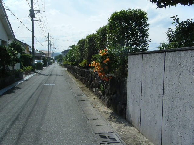 崩石積み　解体後復旧2　（日向石と都濃石）の写真1